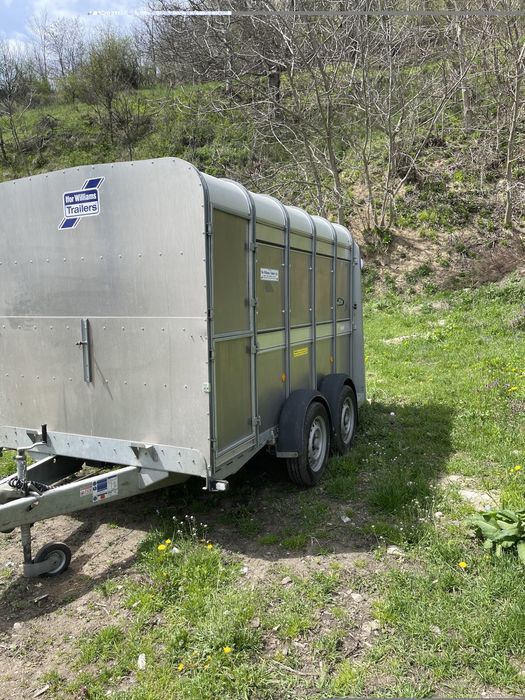 Transport animale vii autorizat livestock