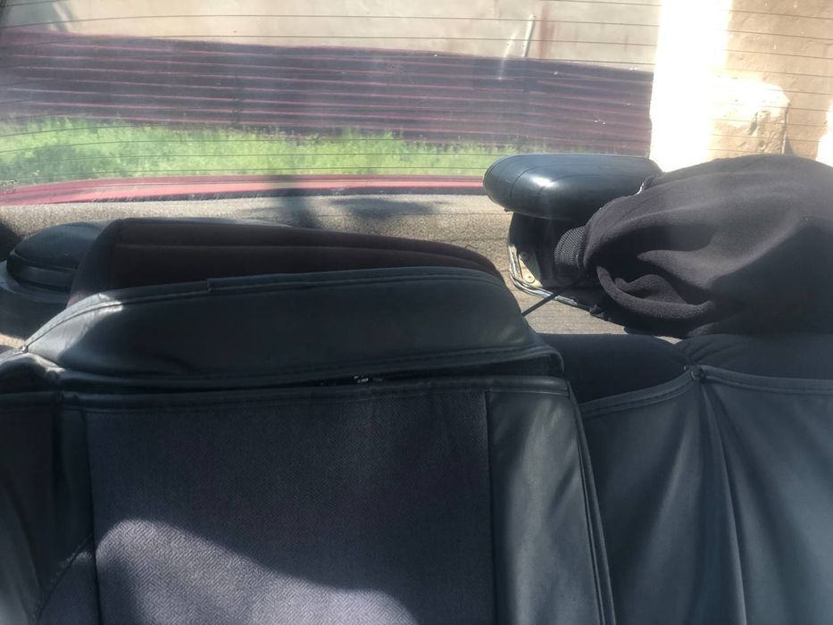 Холати зор идял ген чикади