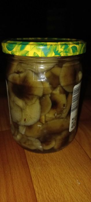 Маринованые опята