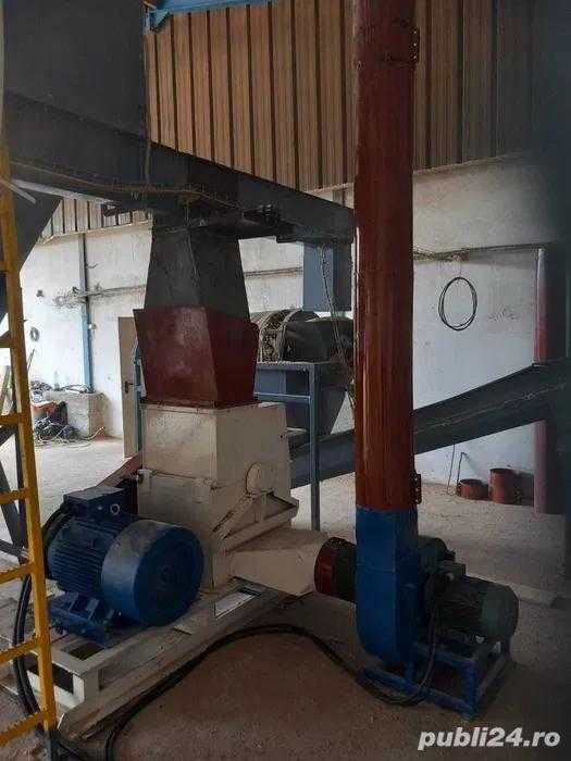 Linie Peleți din rumeguș cu uscător tip LPLT-208//LPT-250