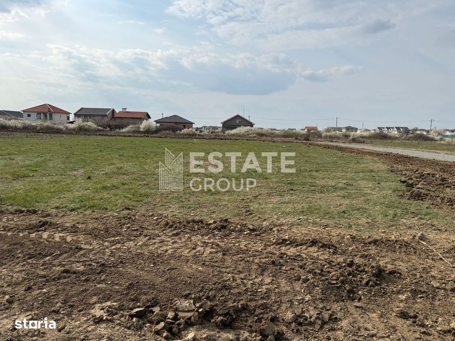 Mosnita Noua, front stradal 22 ml