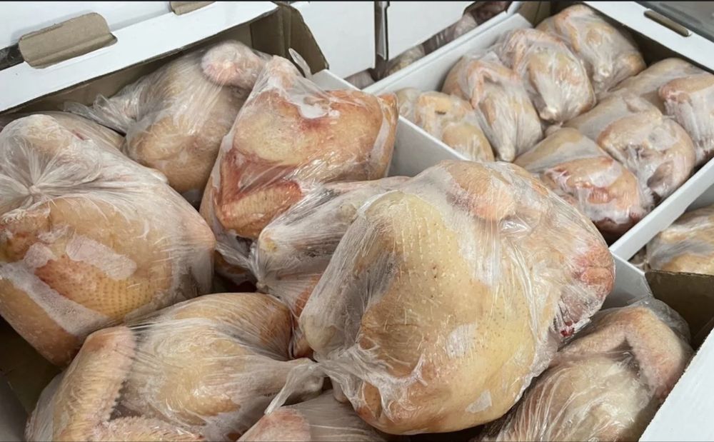 Домашние курицы мясной породы Мясо курицы