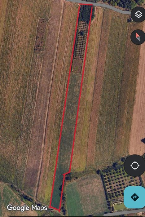 Teren de vânzare Botoșani