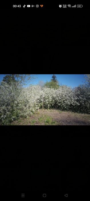 Продам дачу район ГМЗ