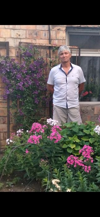 Цветы садовые многолетние