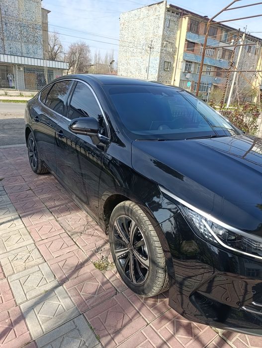 Byd chazor 120 full