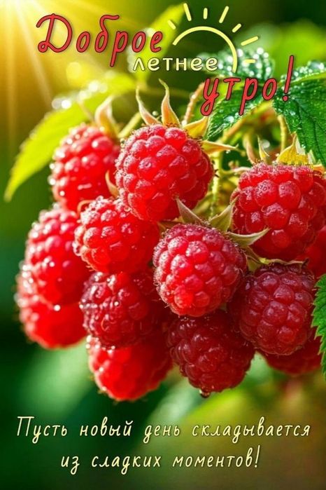 Сдам дачу в аренду