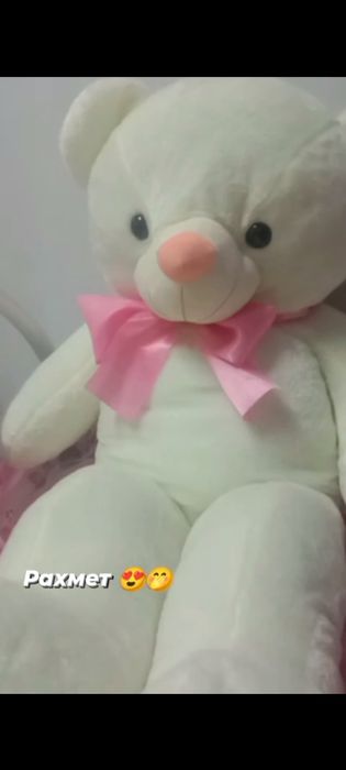 Мишка сатылады жаңа