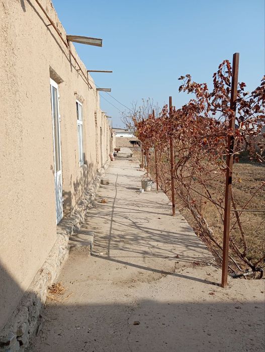 Navoiy shahriga yaqin, Karmana tumani , Narpay 3-bo‘lim, E'tiqod 36-uy