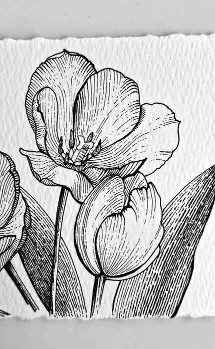 Нежни графични рисунки на цветя – ръчна изработка