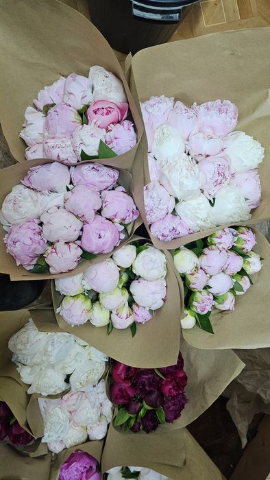 Пионы Свеже срезанные
