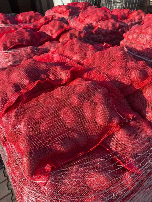 Vindem cartofi albi si roșii EN-GROS