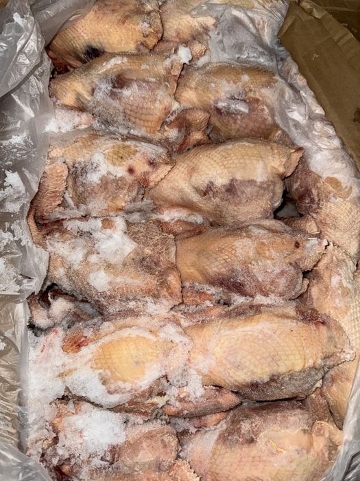 Курица бульонная. Мясо