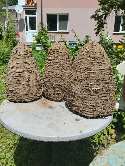 Тръвни за пчелни семейства .