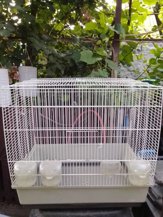 Colivie pentru animalutul vostru