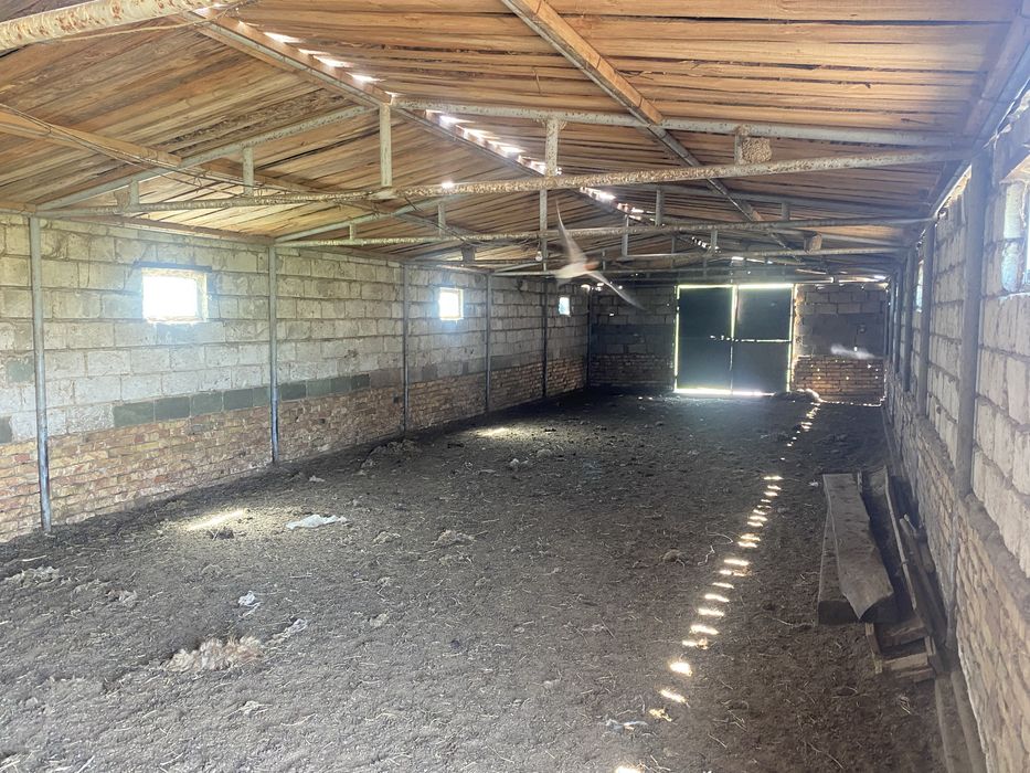 Продам фазенду срочно