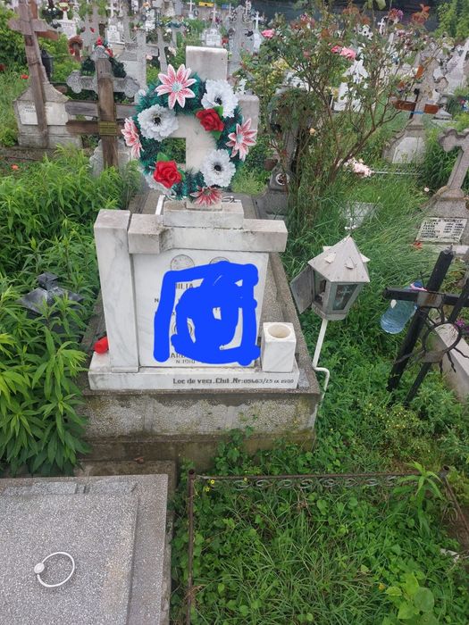 Vand Loc de Veci, CAVOU, Cimitirul Central