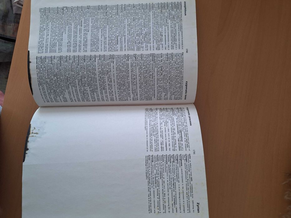 Пълен английски речник1750 страници