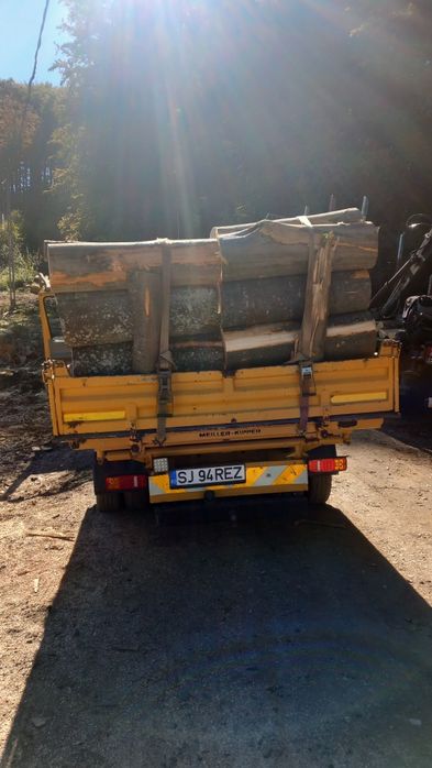 Lemne de foc esență tare