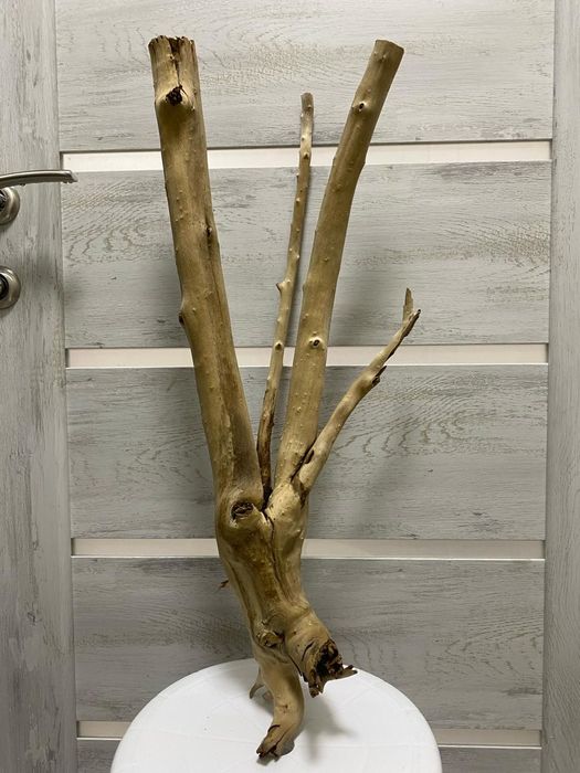 Коряги аквариумные!