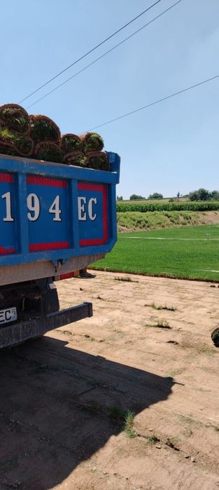 Kamaz klines sheben kompot qum oluga tosh клинец кампот shagal