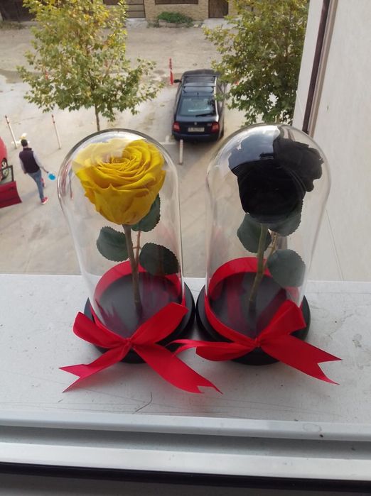 Trandafir criogenat conservat ideal pt cadou iubita sotie