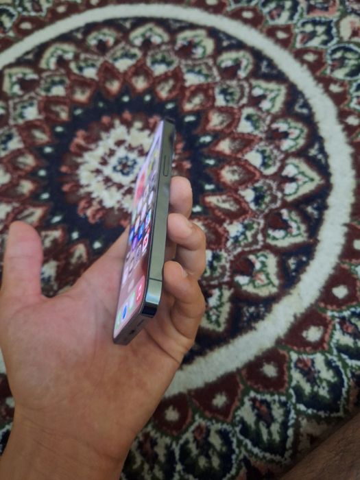 Model: IPhone 13 pro