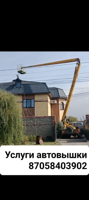 СПИЛ аварийных деревьев