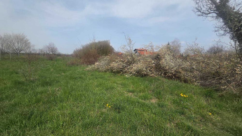 Продава се Парцел в с. Караполци, Област София-област - 1411 кв.м за 31 €/кв.м - Снимка #5