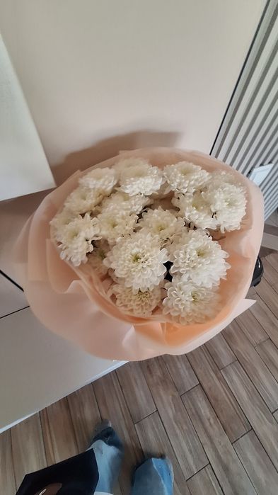 Шымкент казр келды гул