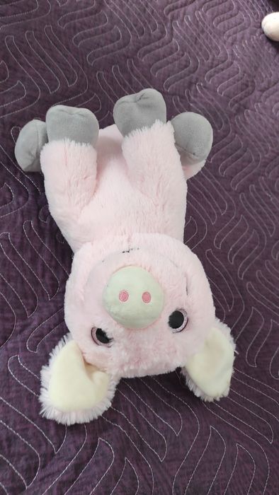 Animale de plus - porc