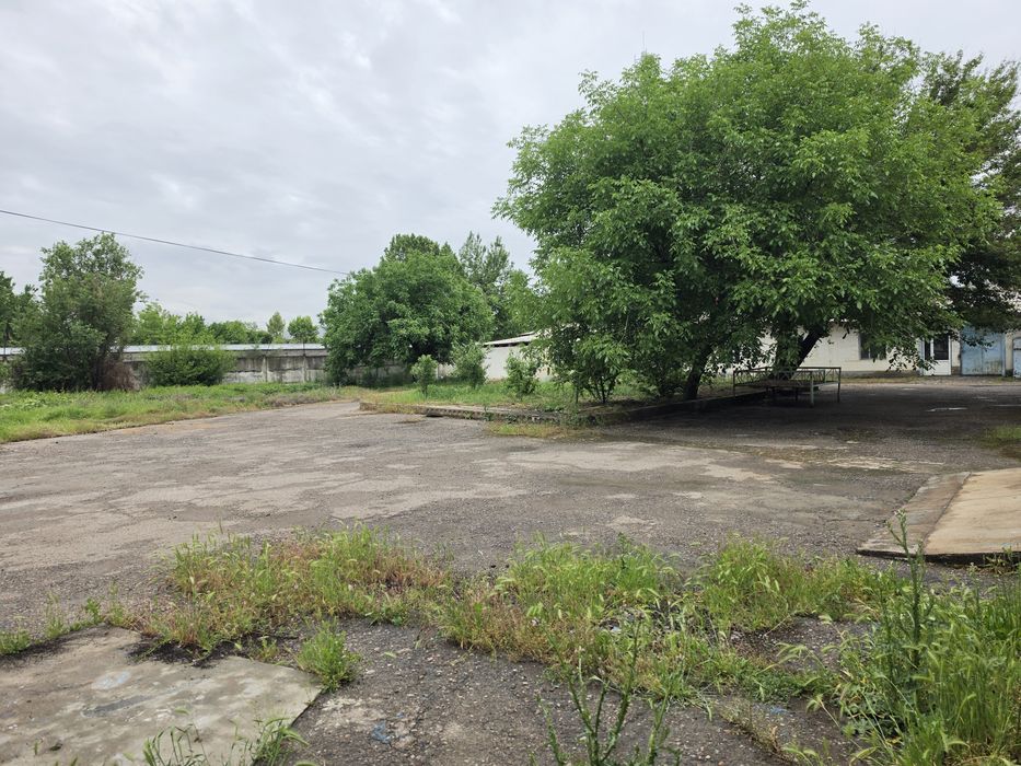 Ер сотилади Олмазор 20+20 sotix yer va bino sotiladi  #Олмазорда #ер