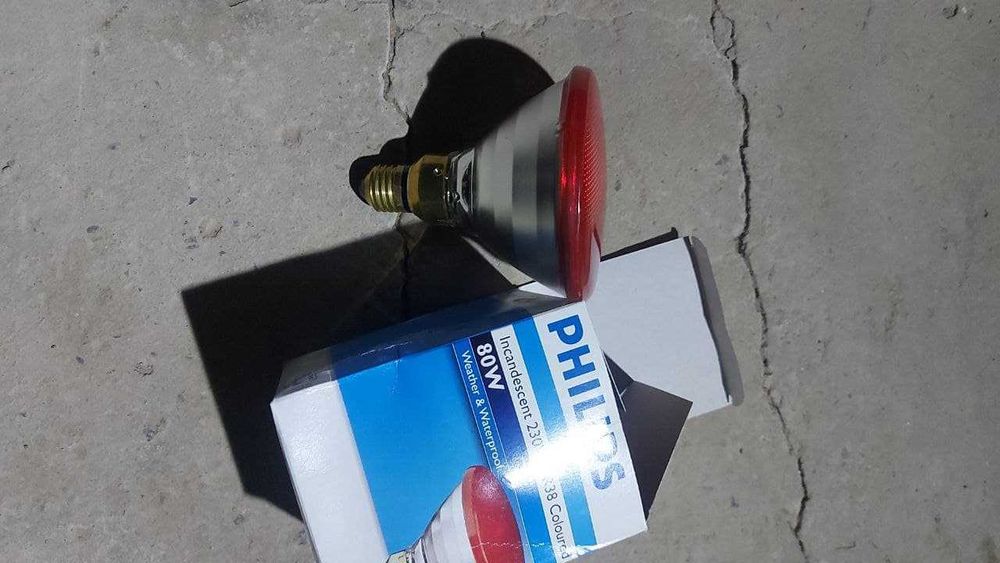 Тепловая лампа, инфракрасные лампы, лампа для цыплят