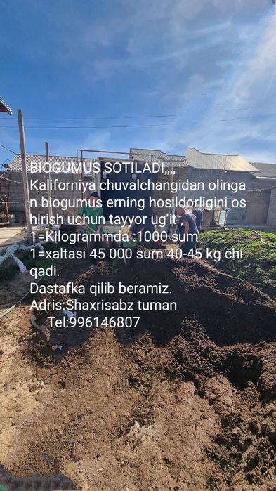 BIOGUMUS SOTILAD kaliforniy chuvalchangidan olingan biogumus ern