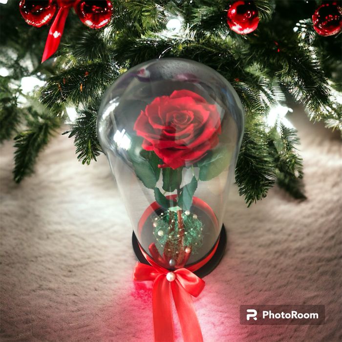 Trandafir criogenat rosu