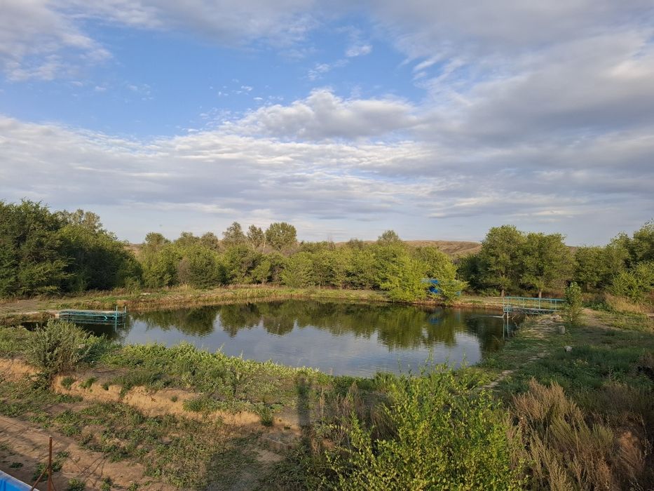 Продам действующее форелевое хозяйство