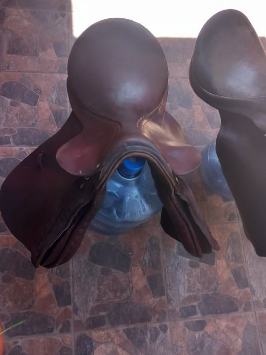 Vând șei călărie!