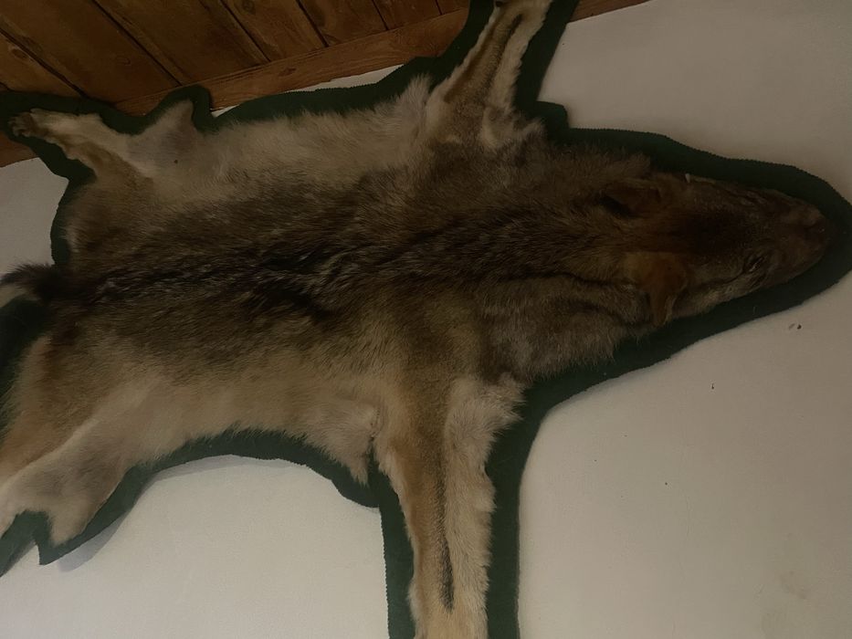 Вълчи кожа естествена