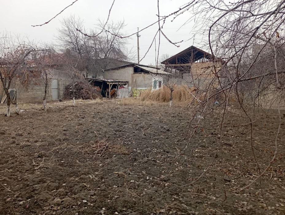 Chirchiq da 5 sotux quruq er sotiladi