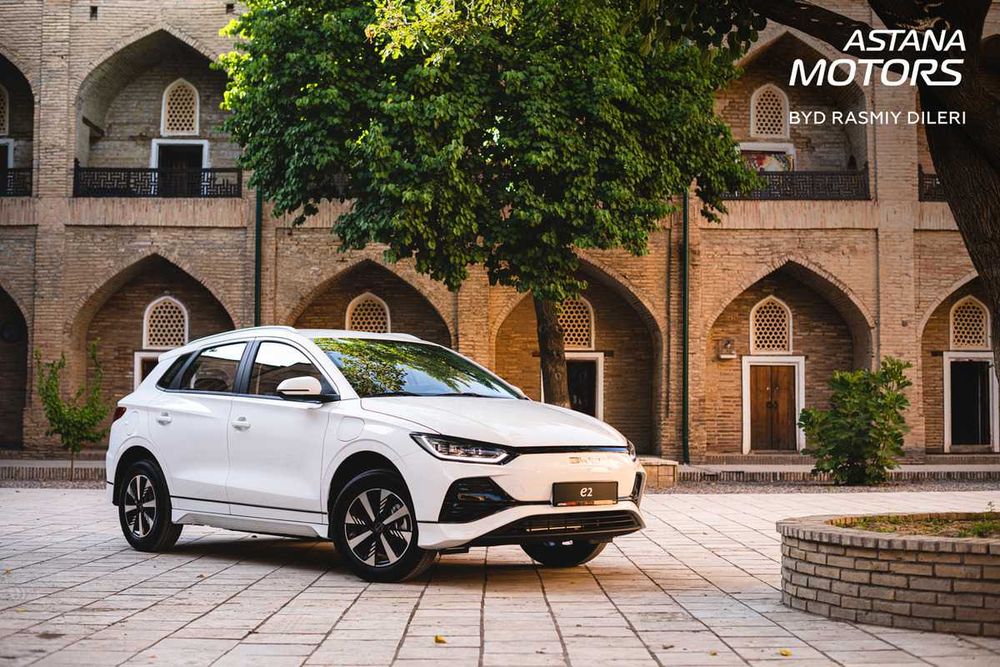 BYD E2 405km LUXE. Официальный дилер BYD.