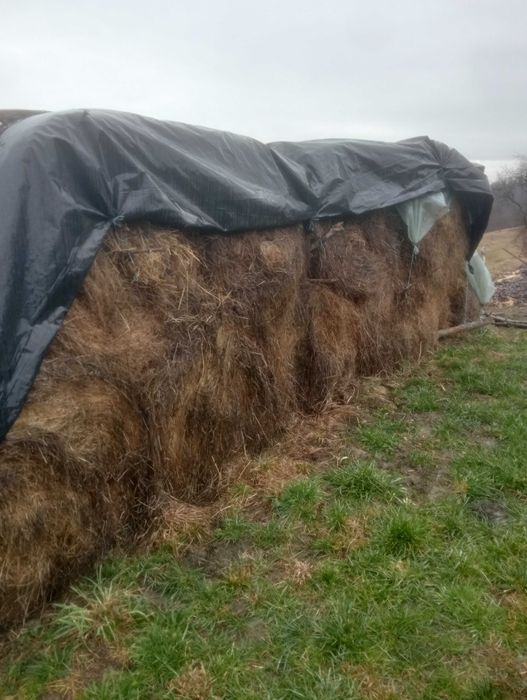 Baloți de fân și otava