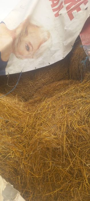 Baloti mari de FAN 180/120 mărime