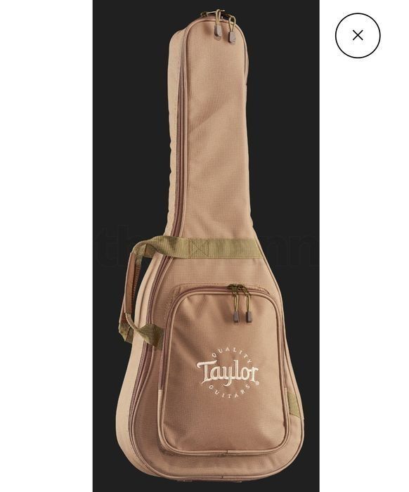 Гитара Taylor TS-BTe