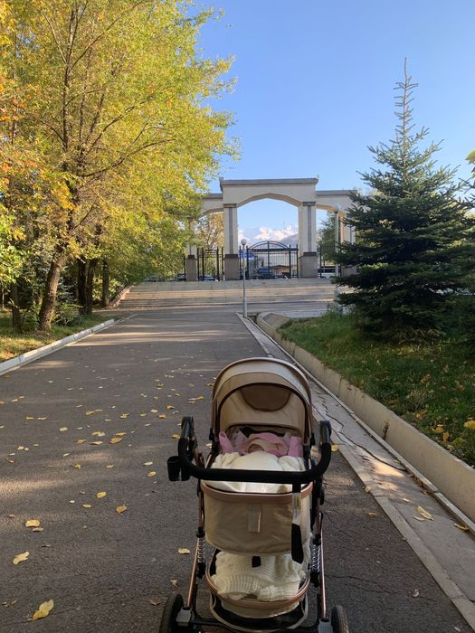 Коляска prego 2 в 1