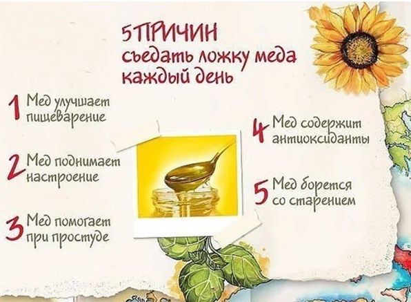 Мёд со своей пасеки | Разнотравье горный степной | Tog'li asal | Honey