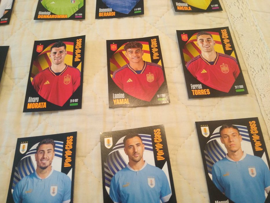 Stickere fotbal  Word Class 2024