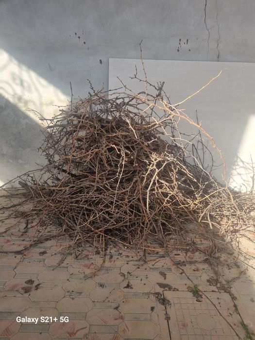 Утин-Хезум бепул,Самовывоз