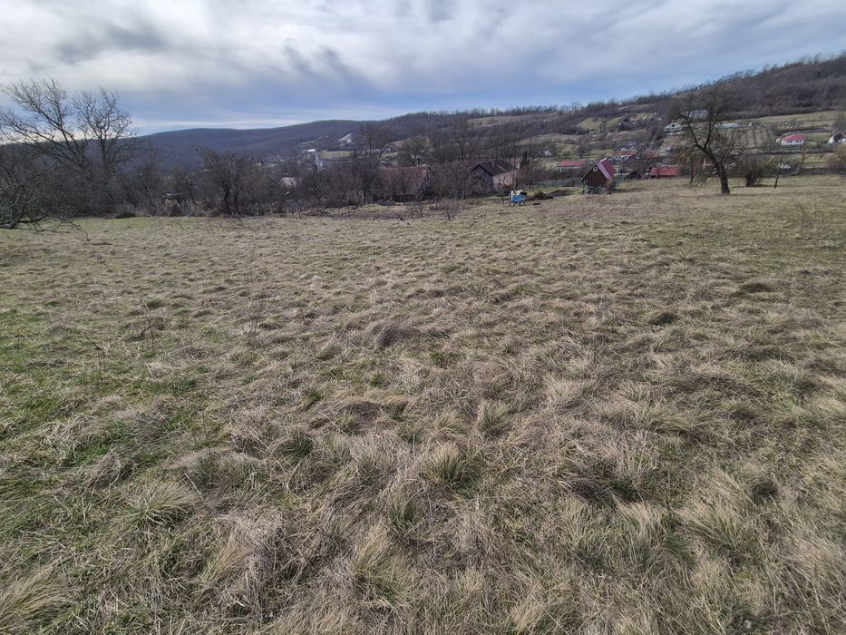 Vand teren intravilan la Șiștarovăț