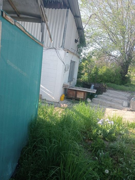 Продам 2 дома селекция