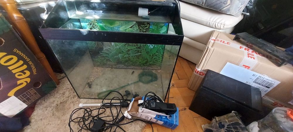 Acvariu dreptunghiular